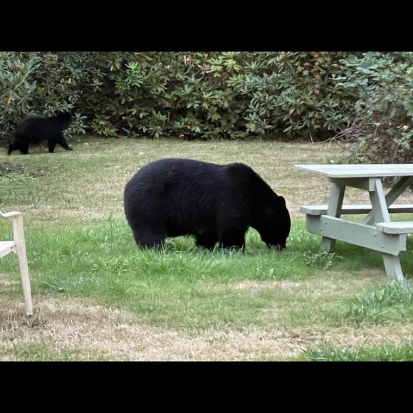 Meet your Posher, Raquel - Picture 11 of 17